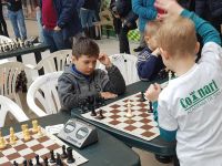 50649969_2301469003204691_5497725397791408128_n